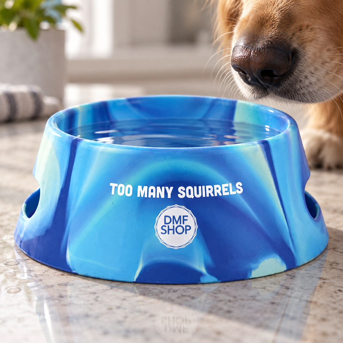 Too Many Squirrels Dog Bowl